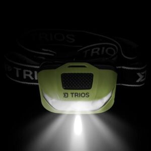 Czołówka Delphin Trios - obrazek 2