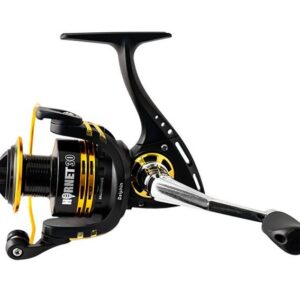 Delphin Hornet 40 - obrazek 2
