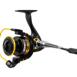 Delphin Hornet 40
