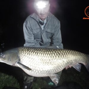 Garant Baits Patentka-Kaviar 24 mm/1 kg - obrazek 9