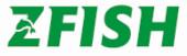 Z-Fish Method Feeder Mould XL w sklepie wędkarskim Carpmix.pl