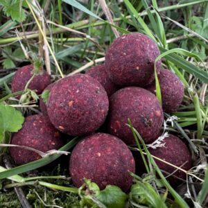 Garant Baits Hot Berry 20 mm/1 kg - obrazek 3
