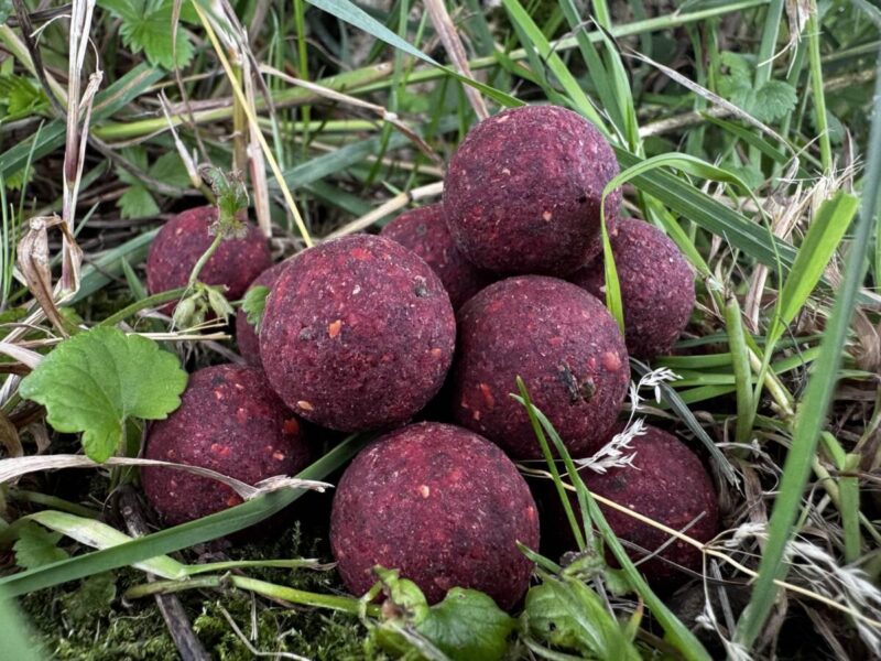 Garant Baits Hot Berry 24 mm/1 kg - obrazek 3